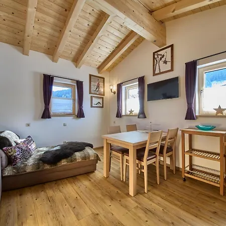 公寓 Haus Silian - 萨尔巴赫